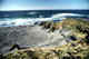Northern fur seals, North West rookery, Bering island.