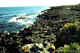 Seal Rookery, Pribilof.