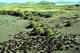 Fur seal haulout area close to village, Pribilofs.