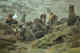 Seals in rookely, Pribilofs.
