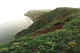 Cliffs. St. Paul.  Pribilofs.