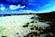 Long beach made up mainly of ground up sea shells. Bering Island. Commanders.