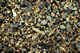 Beach rocks. Bering Island. Commanders.