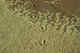 Signature of water activity on the sand with gull footprint. Bering Island. Commanders.