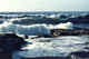 Sea shore. Bering Island.