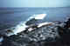 Fin whale (approximately 80 ft)washed ashore.  St. Paul Island.