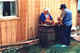 Cat observing cutting up of seal meat for freezer. St Paul island.  Pribilofs.